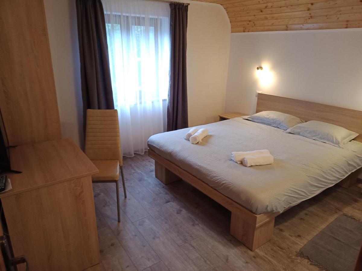 Casa Iulia & Matei Villa Cîrţişoara Buitenkant foto