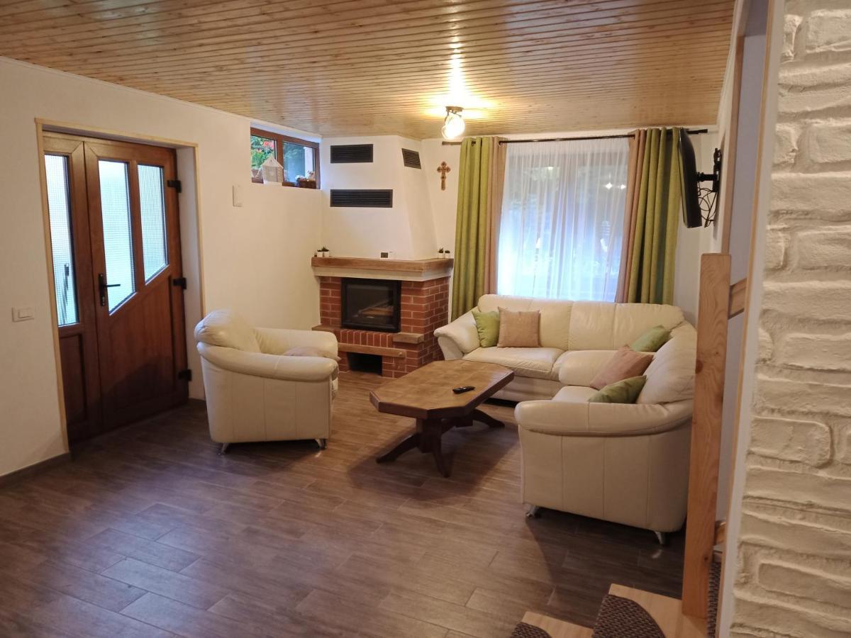 Casa Iulia & Matei Villa Cîrţişoara Buitenkant foto