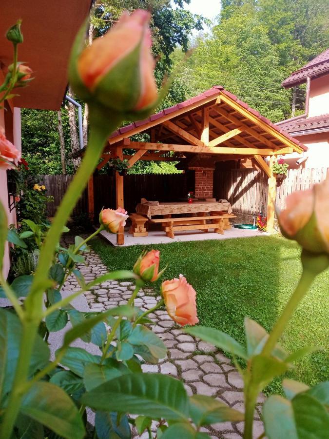 Casa Iulia & Matei Villa Cîrţişoara Buitenkant foto