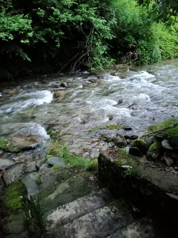 Casa Iulia & Matei Villa Cîrţişoara Buitenkant foto