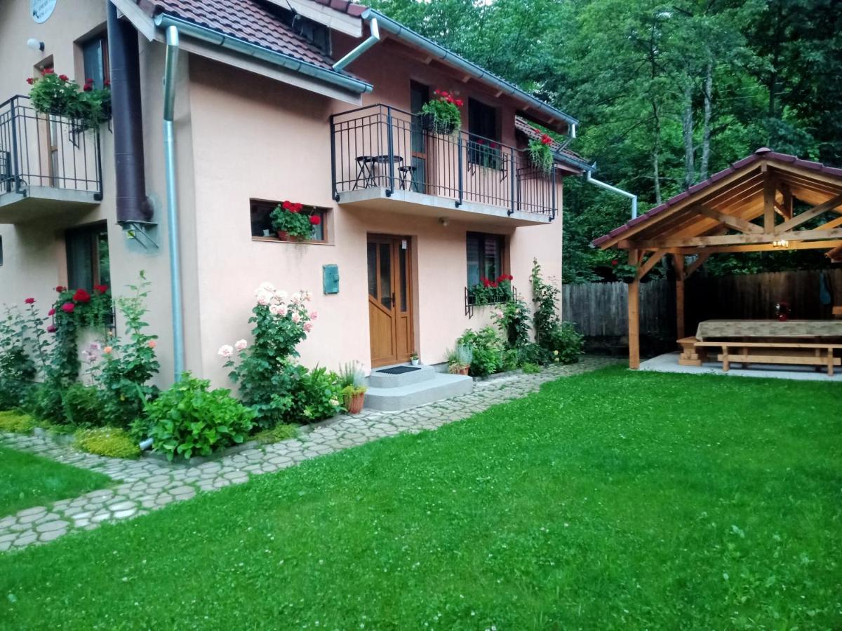Casa Iulia & Matei Villa Cîrţişoara Buitenkant foto