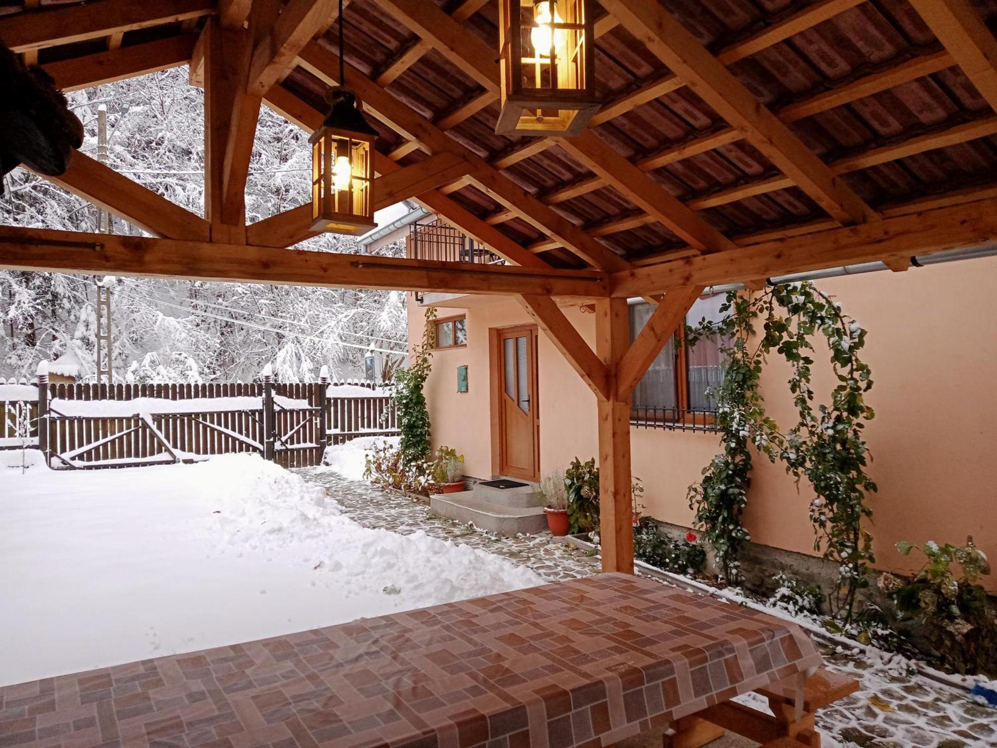 Casa Iulia & Matei Villa Cîrţişoara Buitenkant foto