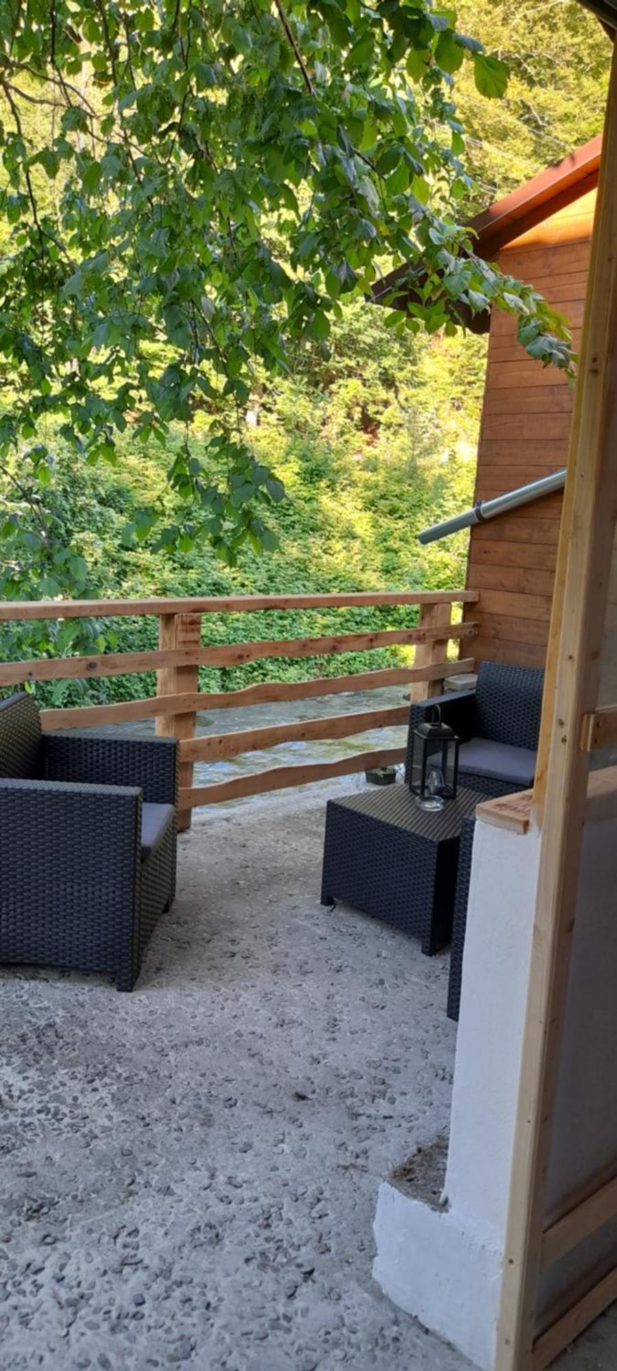 Casa Iulia & Matei Villa Cîrţişoara Buitenkant foto